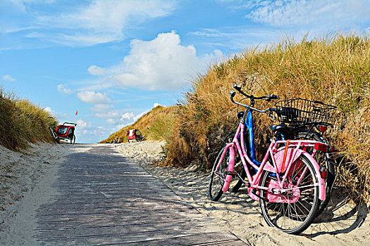 小路,海滩,自行车,夏天,东方,岛屿,北海,下萨克森,德国