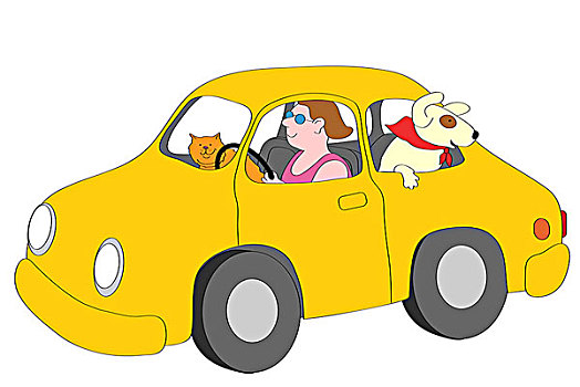 微笑,女人,驾驶,黄色,汽车,狗,插画
