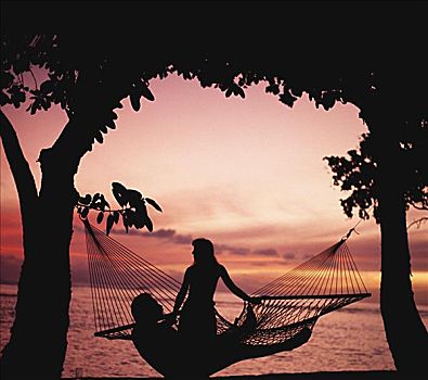 夏威夷,伴侣,吊床,剪影,日落,树