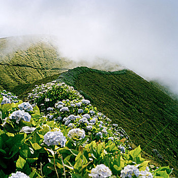 火山口,法亚尔,葡萄牙