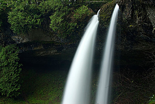 瀑布,树林,北方,银色瀑布州立公园,俄勒冈,美国
