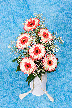 德兰士瓦省,雏菊,大丁草,花瓶