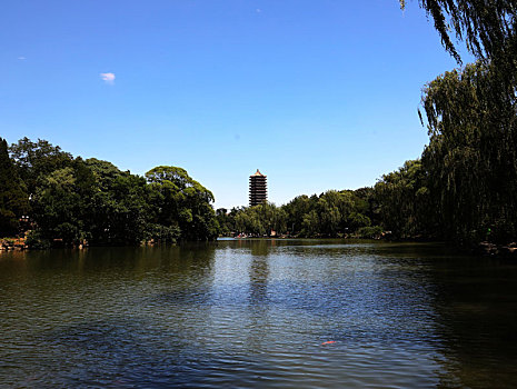 北京大学