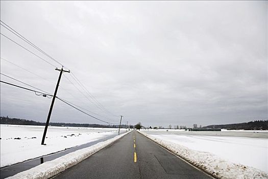 道路,山谷,不列颠哥伦比亚省,加拿大