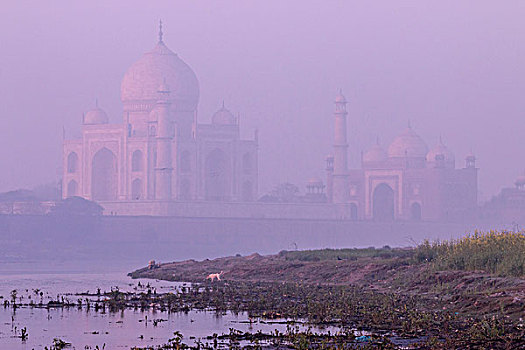 泰姬陵,晨雾,阿格拉,印度