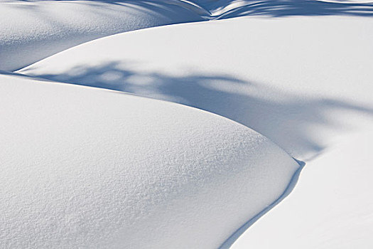 雪,卡纳纳斯基斯县,艾伯塔省,加拿大