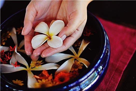 女性,手,花,水中