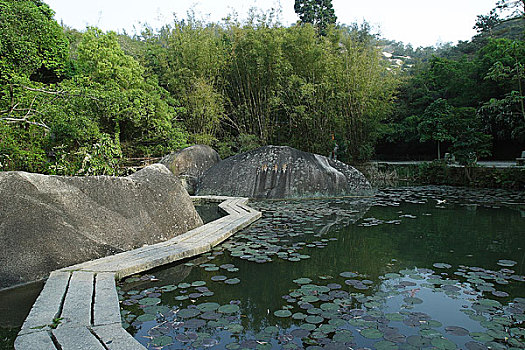 厦门鼓浪屿风光