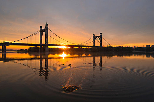 沈阳东塔桥的日出