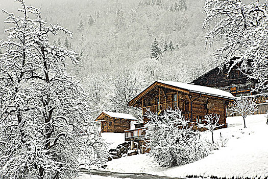 法国,阿尔卑斯山,上萨瓦省,下雪,木制屋舍