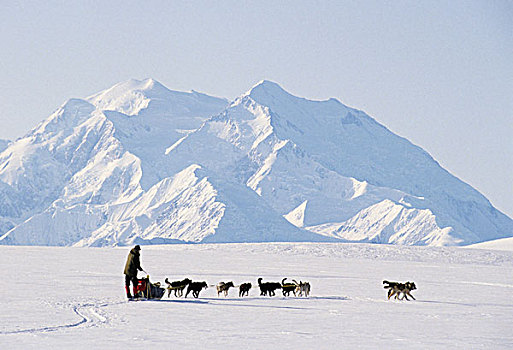 美国,阿拉斯加,雪橇狗,麦金利山,德纳里峰国家公园