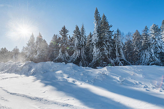 冬季长白山的雪地和雾凇