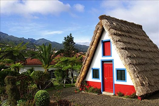 传统,马德拉岛,茅草屋顶,房子