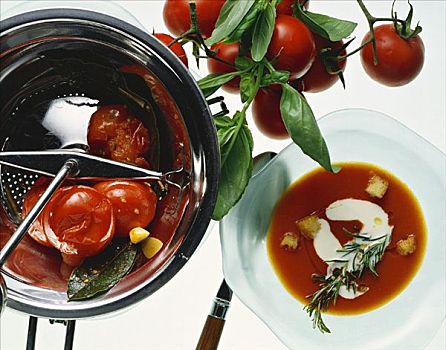 西红柿汤,煎面包片,嫩枝,迷迭香