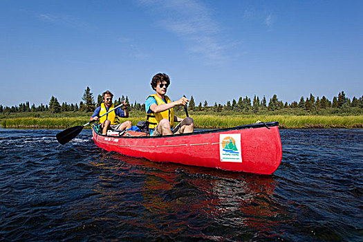 两个,男人,独木舟,涉水,北美驯鹿,湖,河,育空地区,加拿大