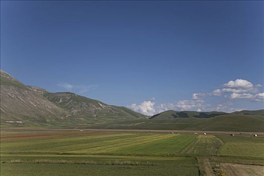 全景,风景,翁布里亚,意大利