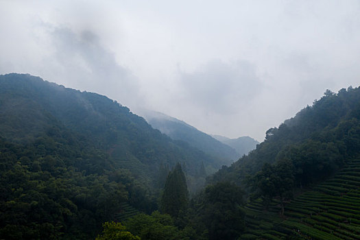 航拍西湖龙井村