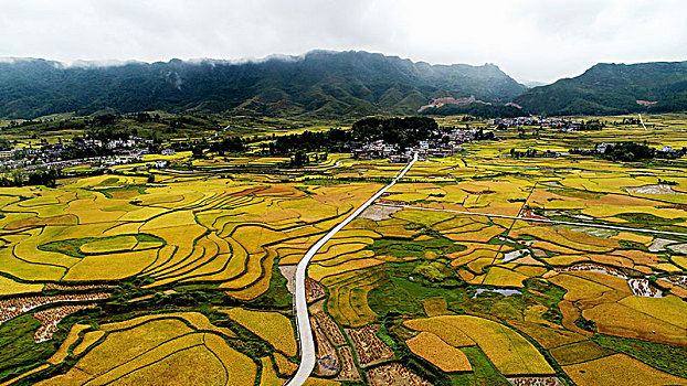 贵州龙里湾滩河镇金批村丰收田园