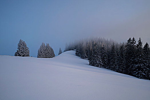 冬季风景,兰格丽斯,巴伐利亚阿尔卑斯山,上巴伐利亚,巴伐利亚,德国