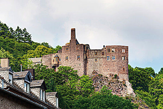 城堡,莱茵兰普法尔茨州,德国,欧洲