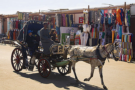 马车,游客,过去,市场货摊,街道,伊迪芙,埃及,北非