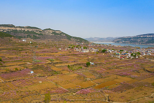 航拍山区桃花