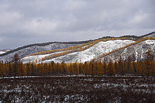 阿尔山雪景