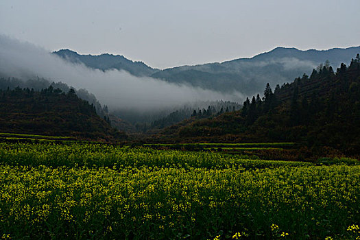 江南雾里乡村