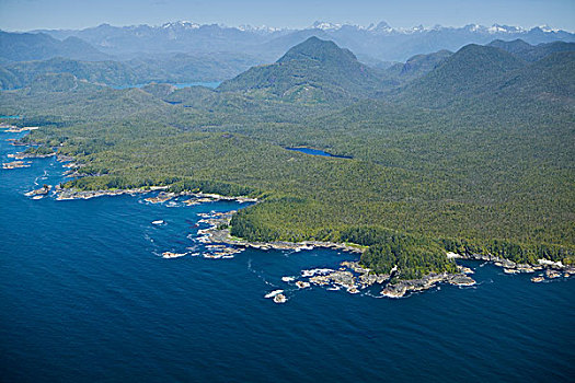 航拍,西北地区,海岸,温哥华岛,不列颠哥伦比亚省,加拿大