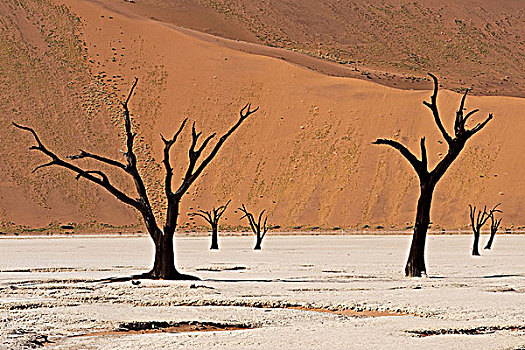 死亡谷,诺克路福国家公园,纳米布沙漠,纳米比亚