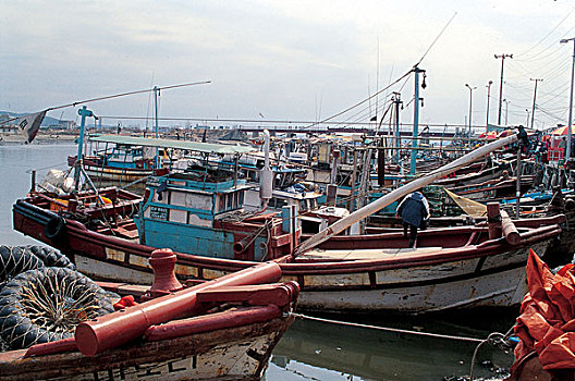 渔船,停泊,港口