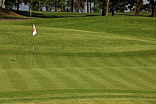 高尔夫球场,绿色,洞,旗帜