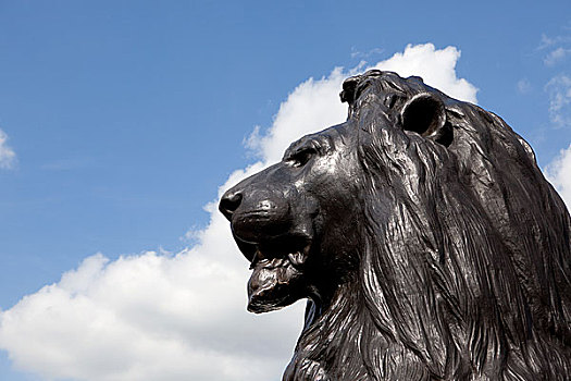 狮子,雕塑,纳尔逊纪念柱,伦敦