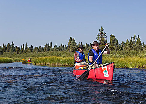 两个,男人,独木舟,涉水,北美驯鹿,湖,漂流,后面,河,育空地区,加拿大