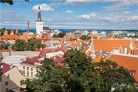 风景,老城,塔林,爱沙尼亚