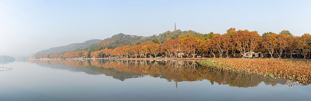 杭州西湖北山街秋景全景图