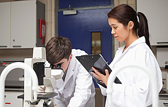 科学,学生,张望,显微镜,讲师,看