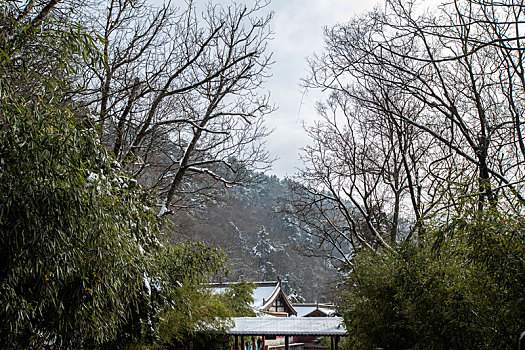 雪中麦积山