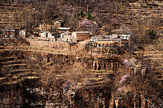 太行山,春天,杏花,山村,民居,悬崖