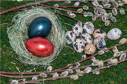 嫩枝,复活节彩蛋