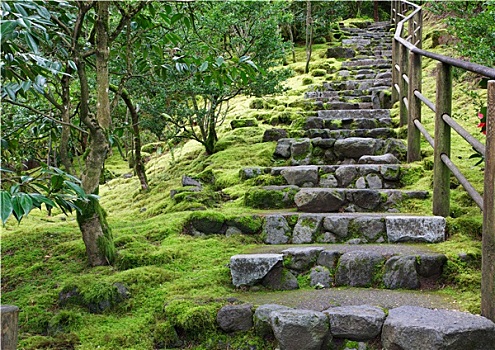 亚洲,花园,石头,楼梯