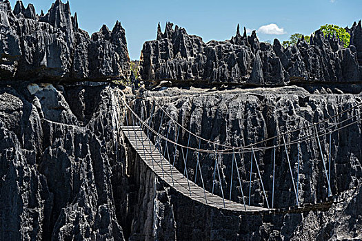 吊桥,上方,峡谷,喀斯特地貌,国家公园,世界遗产,马达加斯加,非洲
