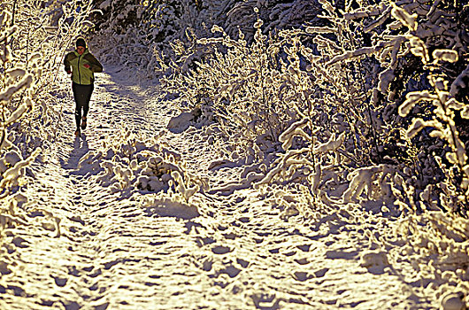 女人,跑,冬天,不列颠哥伦比亚省,加拿大