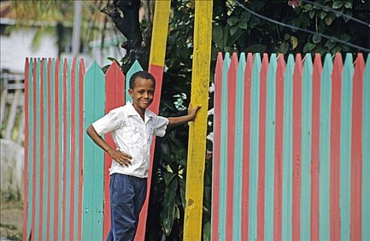 男孩,彩色,栅栏,岛屿,洪都拉斯,加勒比海,中美洲