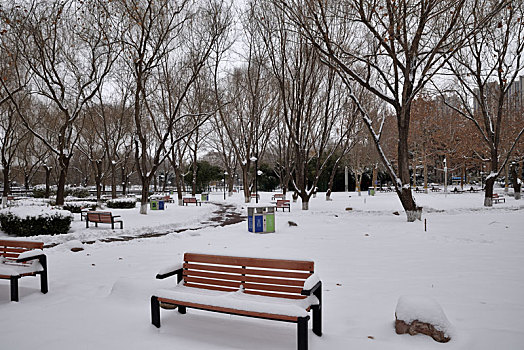 河北省石家庄市公园雪景