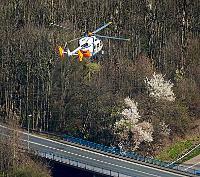 警察,直升飞机,寻找,高处,哈根,鲁尔区,北莱茵威斯特伐利亚,德国