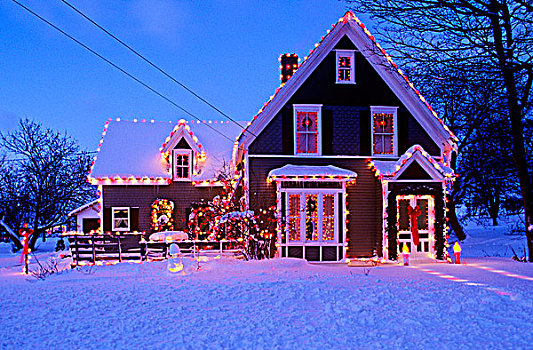家,装饰,圣诞节,爱德华王子岛,加拿大