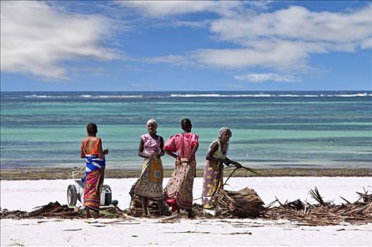 肯尼亚,蒙巴萨,女人,聚集,干燥,椰树,叶状体,海滩,南海岸