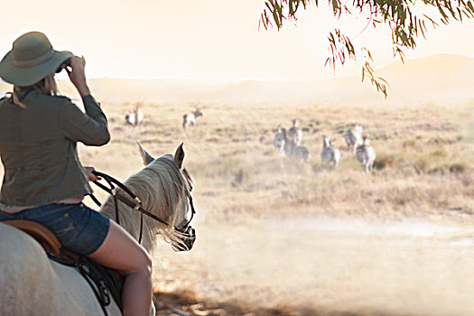 女人,骑马,看,斯坦陵布什,南非