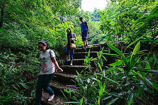 鄞州,横溪镇,古道,山路,爬山,登山,绿色,生态